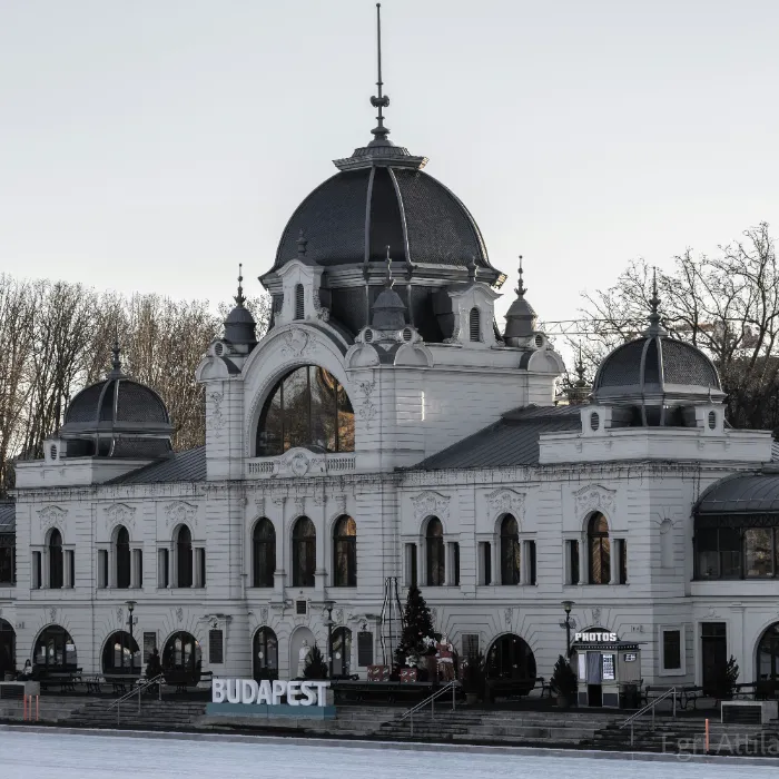 Kávé, ebéd, vacsora a közelben: ezek a legjobb helyek a Dürer Park szomszédságában
